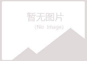 龙岩新罗青丝化学有限公司